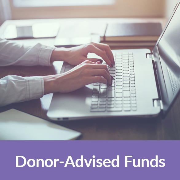 A person on their laptop. Donor-Advided Funds Rollover